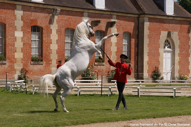 Haras du pin