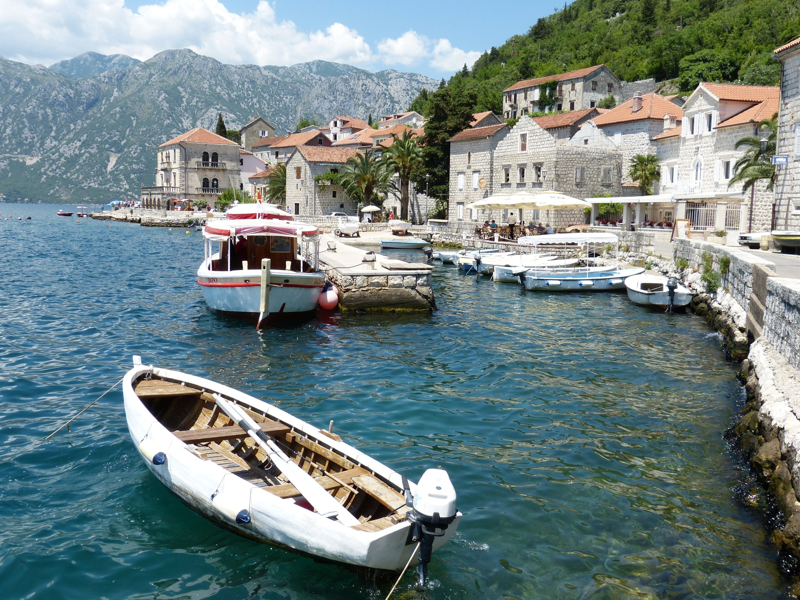 falco-kotor-821546